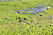 2010-08-03_14.23.41_Благословенное Закатунье